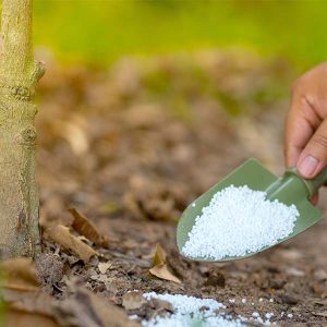 UREA - Imagen 2